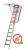 LMF.jpg